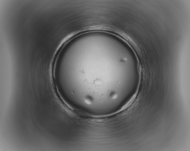 X0000116041230200911271151