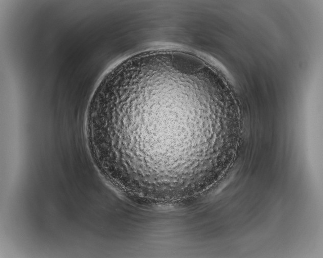 X0000116041231200911271151