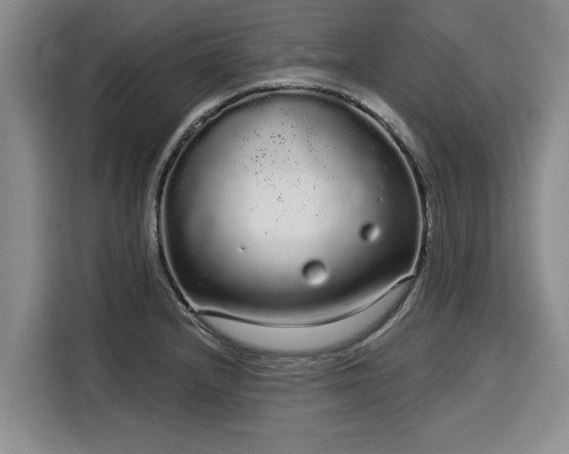 X0000116041232200911271151