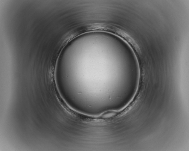 X0000116041233200911271151