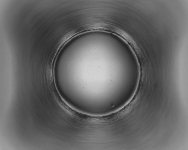 X0000116041234200911271151