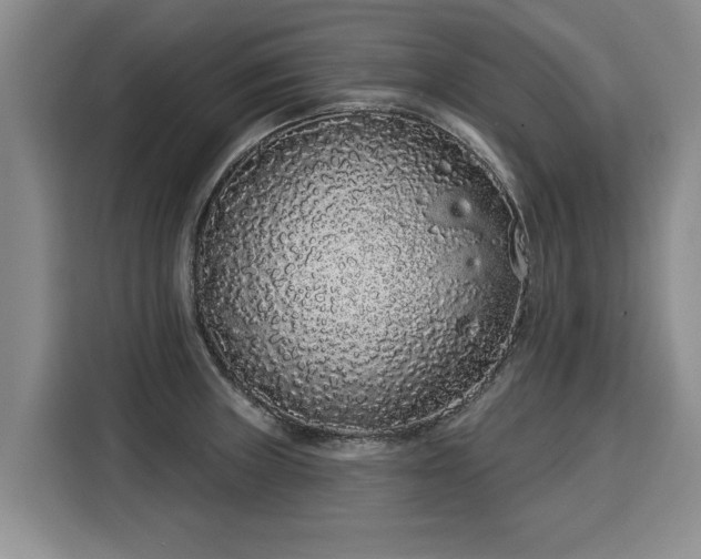 X0000116041235200911271151