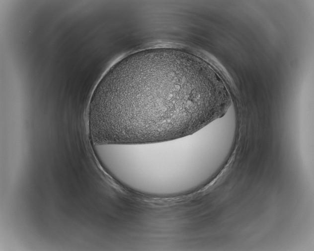 X0000116041236200911271151