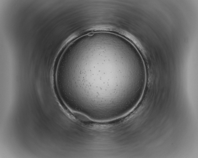 X0000116041237200911271151