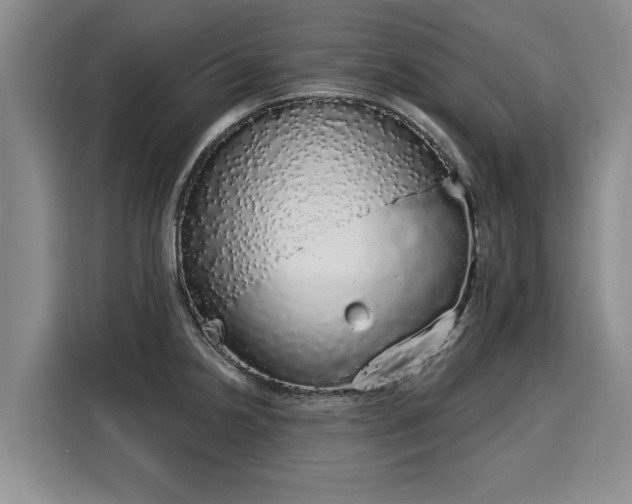 X0000116041238200911271151