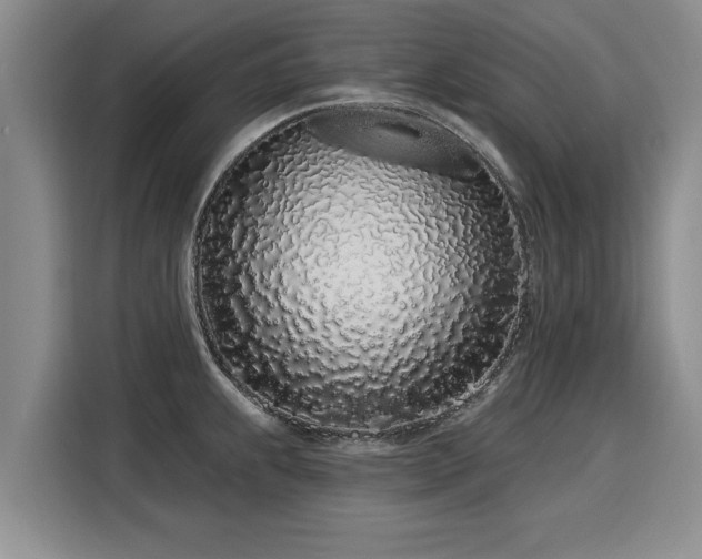 X0000116041239200911271151