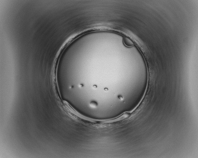 X0000116041240200911271151