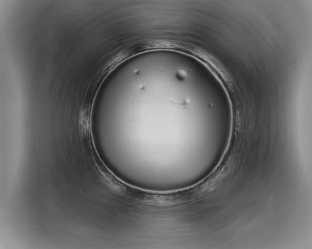 X0000116041241200911271151