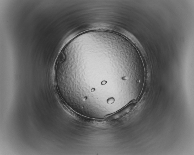 X0000116041242200911271151