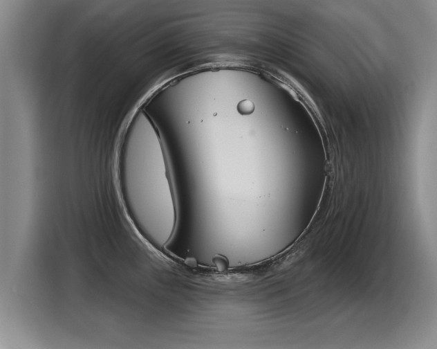 X0000116041243200911271151