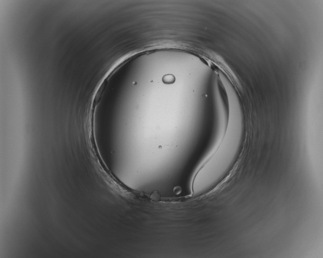 X0000116041244200911271151