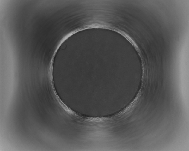 X0000116041246200911271151