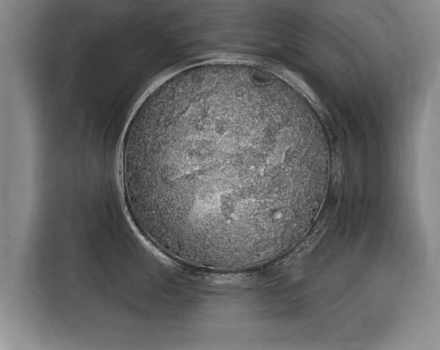 X0000116041247200911271152