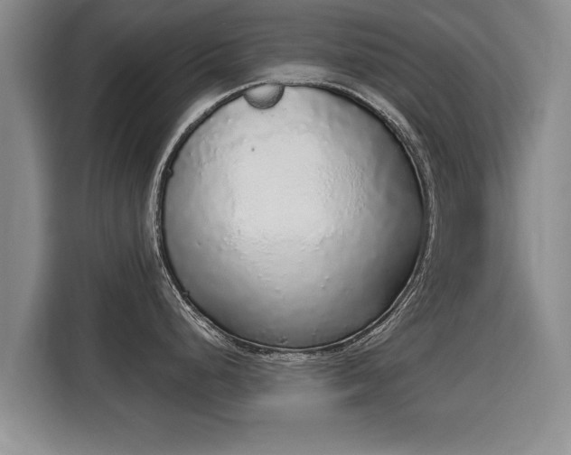 X0000116041248200911271152