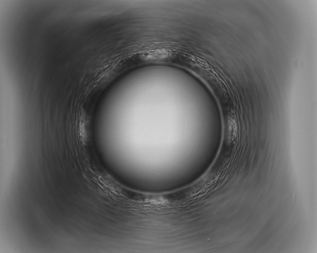 X0000116041250200911271151