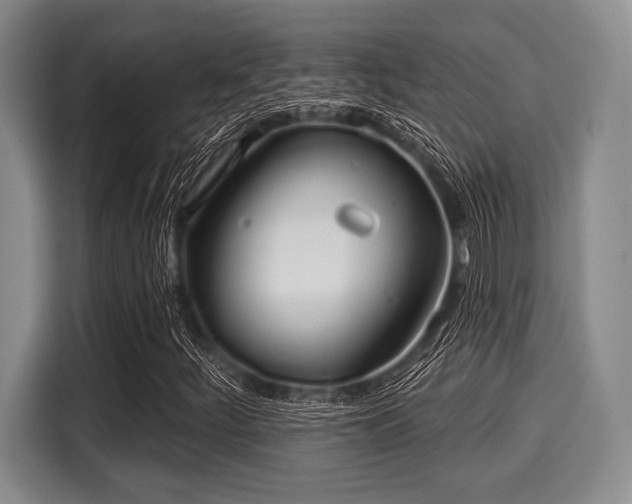 X0000116041252200911271151