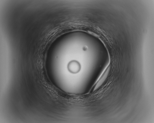 X0000116041253200911271151