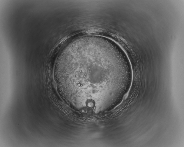 X0000116041255200911271151