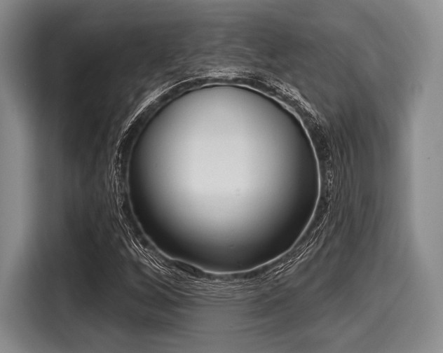 X0000116041256200911271151