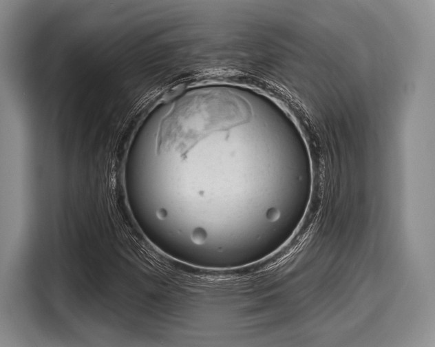 X0000116041257200911271151