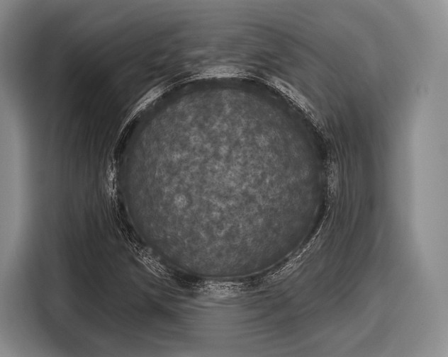 X0000116041258200911271151