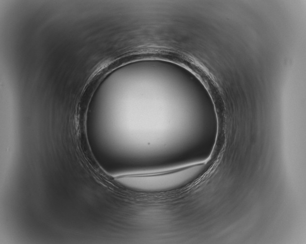 X0000116041259200911271151