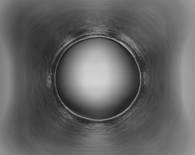 X0000116041260200911271151