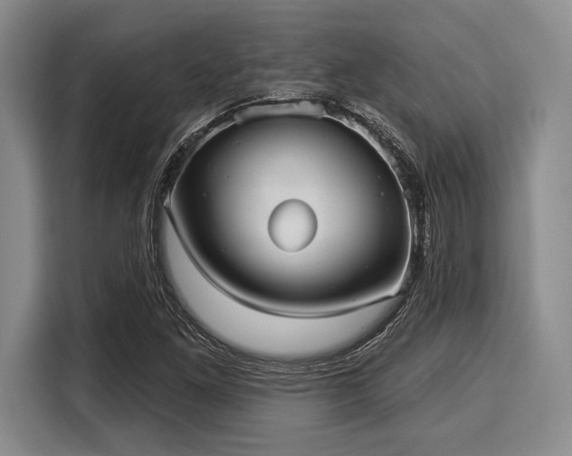 X0000116041261200911271151