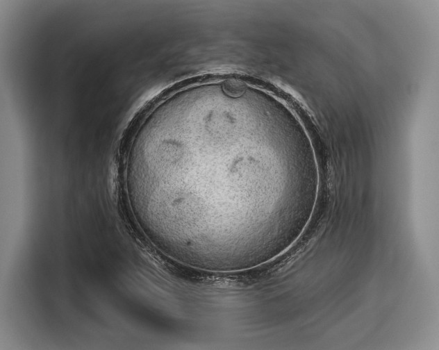 X0000116041263200911271151