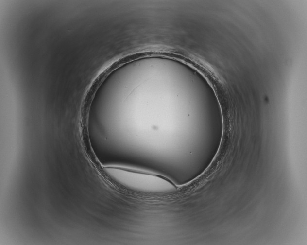 X0000116041264200911271151