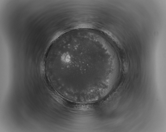 X0000116041266200911271151