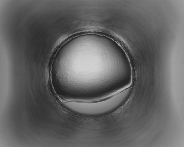 X0000116041267200911271151