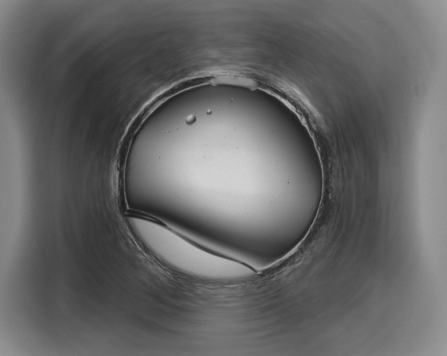 X0000116041268200911271151