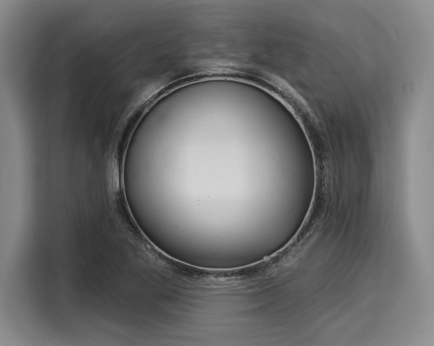 X0000116041269200911271151