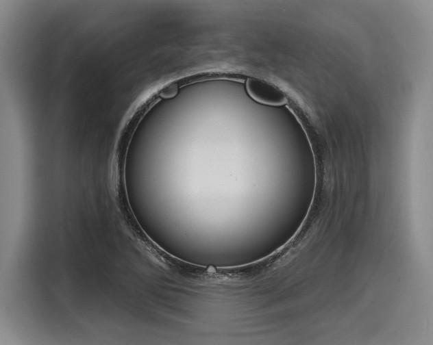 X0000116041270200911271151