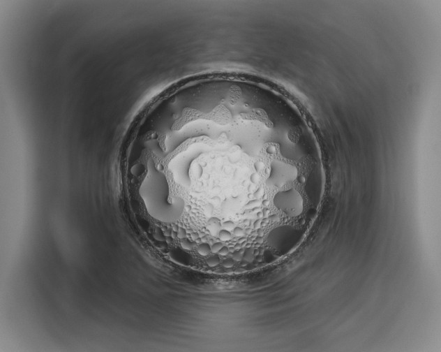 X0000116041271200911271151