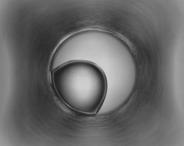 X0000116041272200911271151