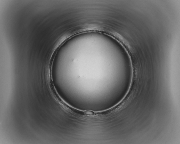 X0000116041274200911271151