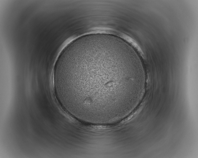 X0000116041275200911271151