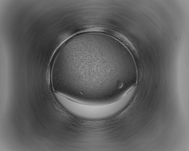 X0000116041276200911271151