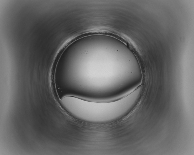 X0000116041277200911271151