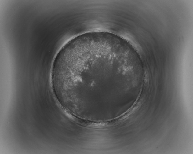 X0000116041278200911271151