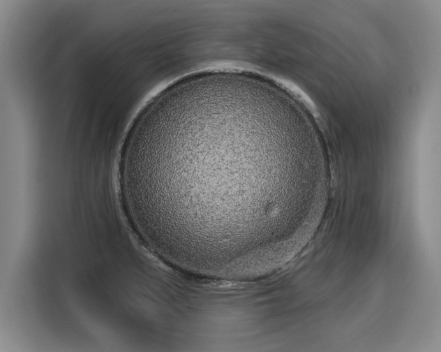 X0000116041279200911271151