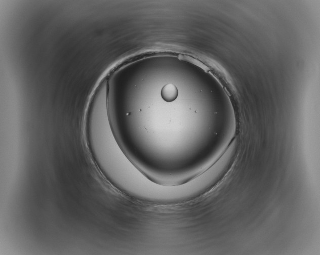 X0000116041280200911271150