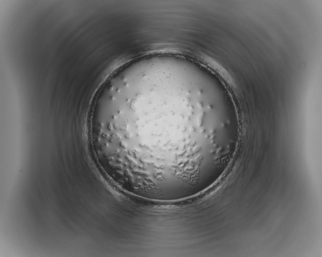 X0000116041282200911271150