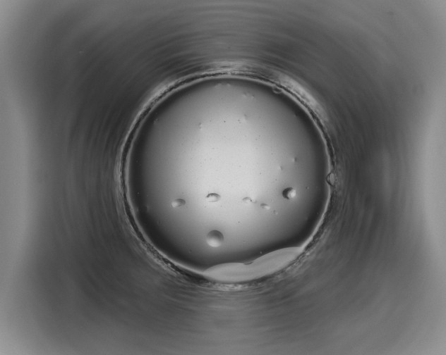 X0000116041283200911271150