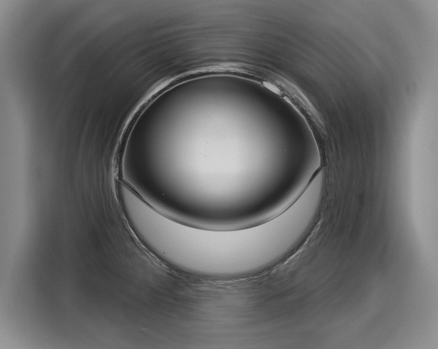 X0000116041284200911271150