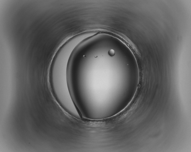 X0000116041285200911271150