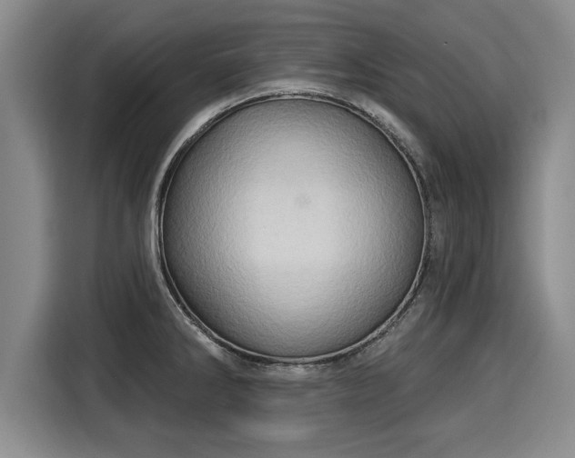 X0000116041286200911271150