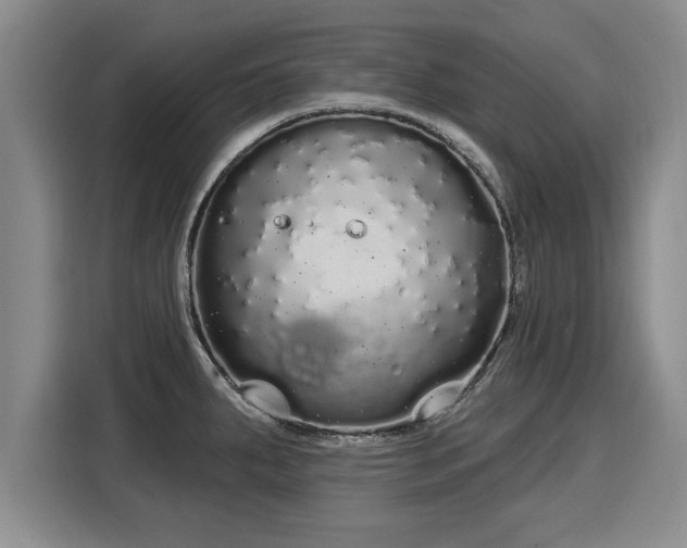 X0000116041287200911271150